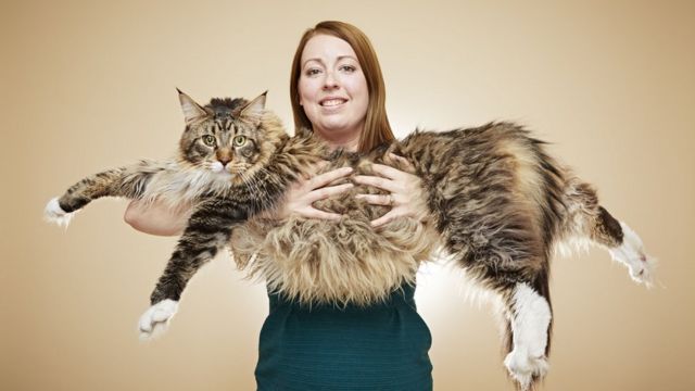 Woman with very long cat