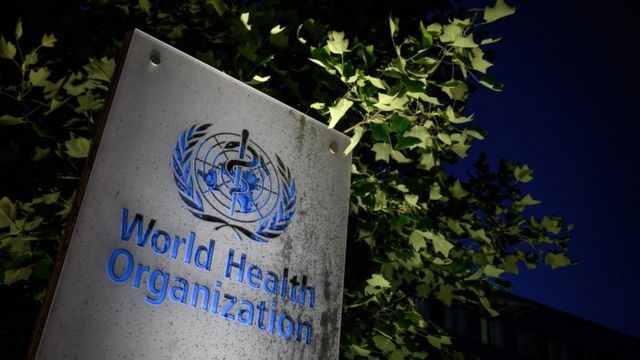 Brasil não deveria deixar OMS, diz ex-ministro da Saúde Nelson Teich ...