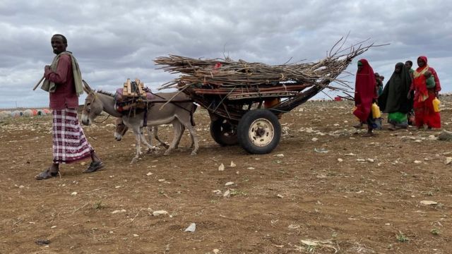 Man walking in arid land leading donkeys pulling a wooden cart.  There are women, some carrying babies, behind him