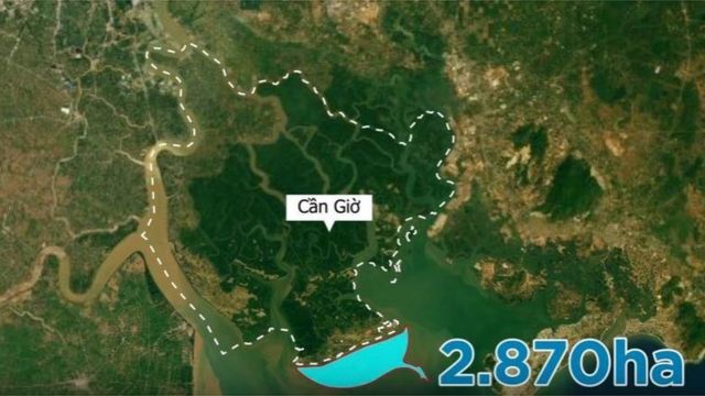 VN: Do đâu dự án lấn biển Cần Giờ của Vingroup gặp phản đối? - BBC ...