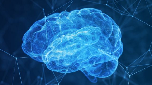 O cérebro e suas conexões neurais