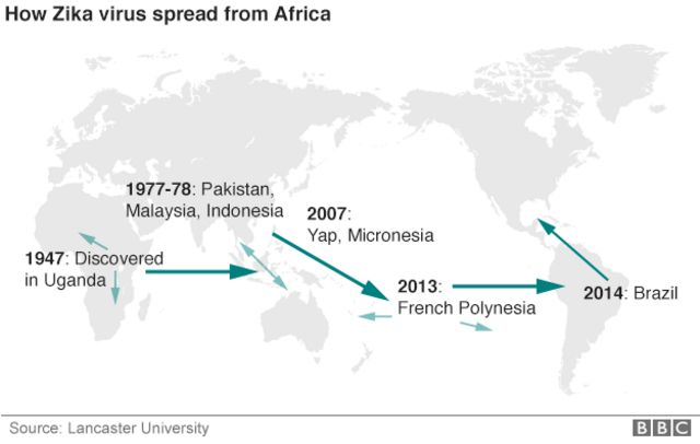 ジカウイルスがアフリカから拡散した経路