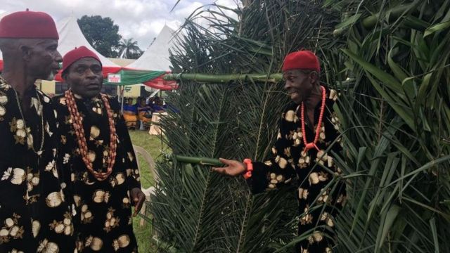 New Yam Festival Ihe Mere Ndị Igbo Ji Eme Emume Iri Ji ọhụrụ Bbc News Ìgbò 7597