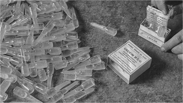 صورة أرشيفية تعود للعام 1931 للقاحات "بس سي جي" المضادة لمرض السل