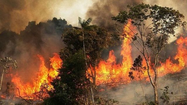 காட்டுத்தீ