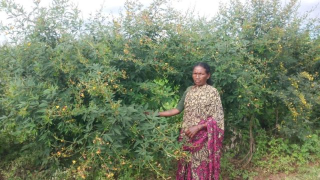 பிரேமே கர்நாடகா விவசாயி