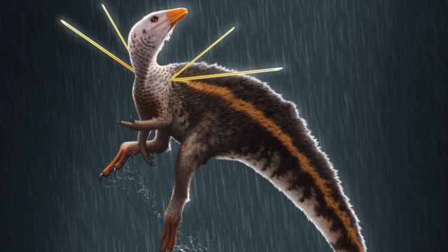Ilustração de dinossauro, com aparência de bico de pato e cauda de esquilo