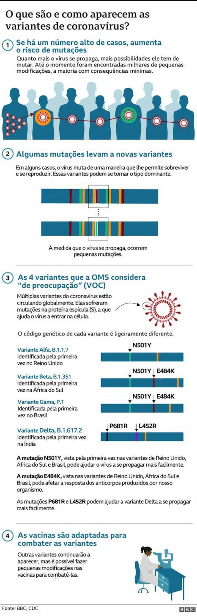 Tabela sobre o que sao as variantes