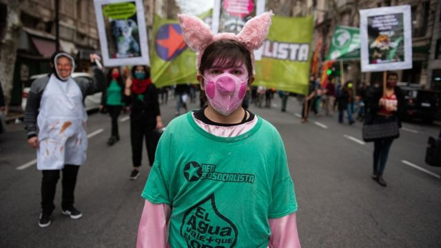 阿根廷多个城市去年曾爆发反对与中国签订猪肉生产协议的抗议。(photo:BBC)