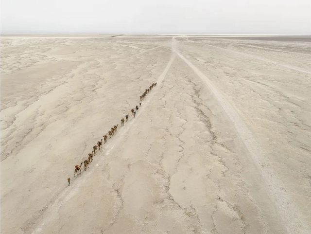 Caravana de camellos #1, Depresión de Danakil, Etiopía, 2018