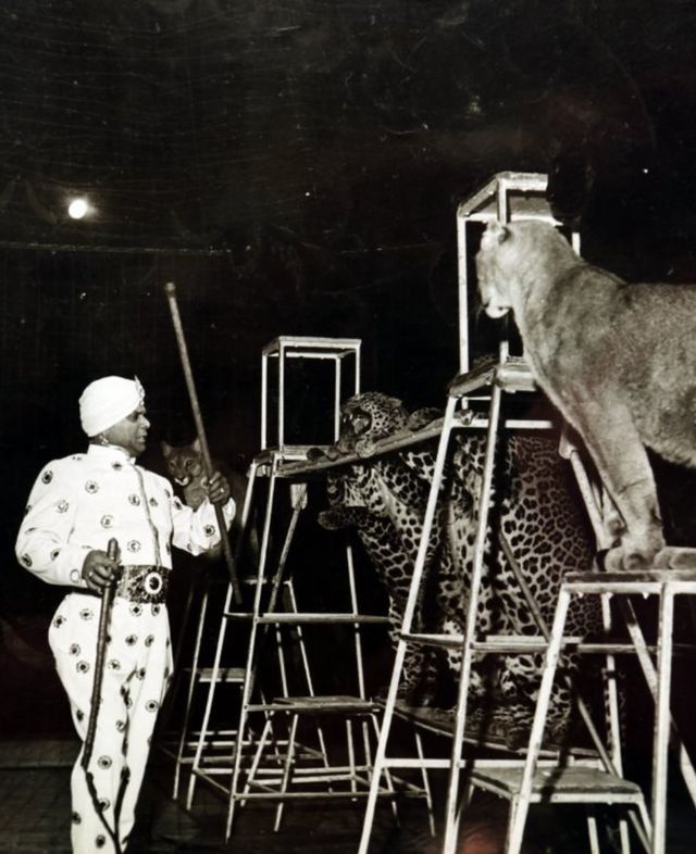 The Indian animal trainer who became a circus legend - BBC News