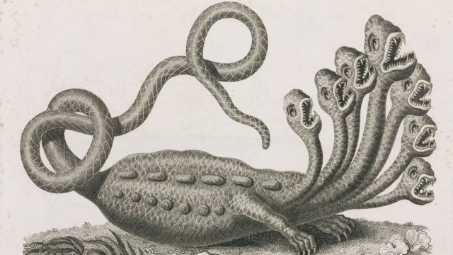 Engraving by J Chapman of the many-headed monster of Greek mythology