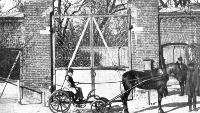 Большая Охота К Толстому Члену