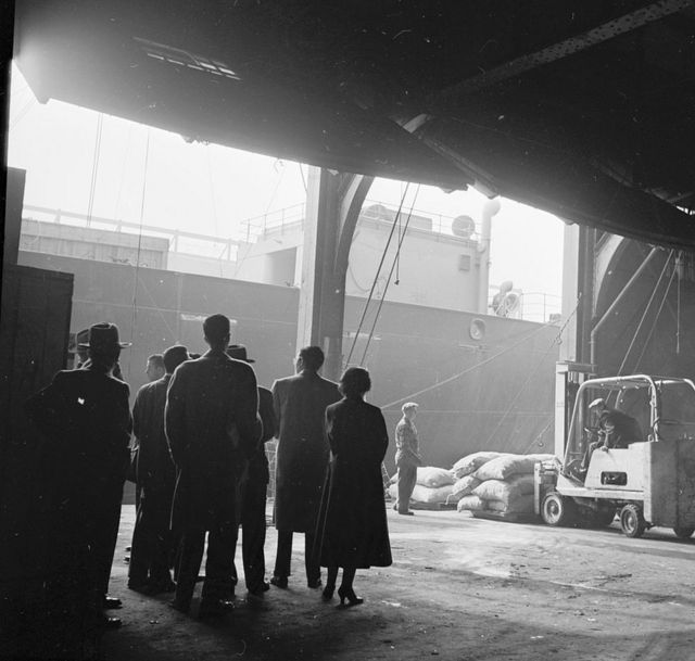 Group observes stevedores in New York Harbor in 1955.