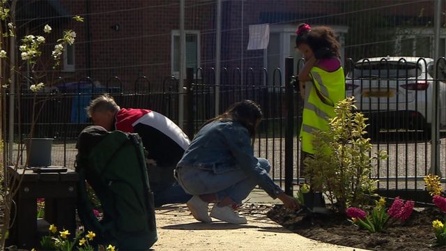 Community Gardens  Liverpool City Council