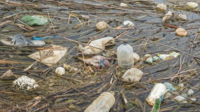 像多瑙河这样的大江大河里有很多漂浮着的塑料垃圾(photo:BBC)