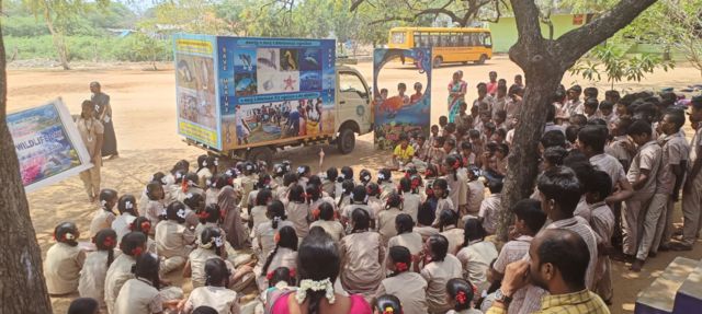 கடல் ஆமைகள் குஞ்சு பொரித்தல்