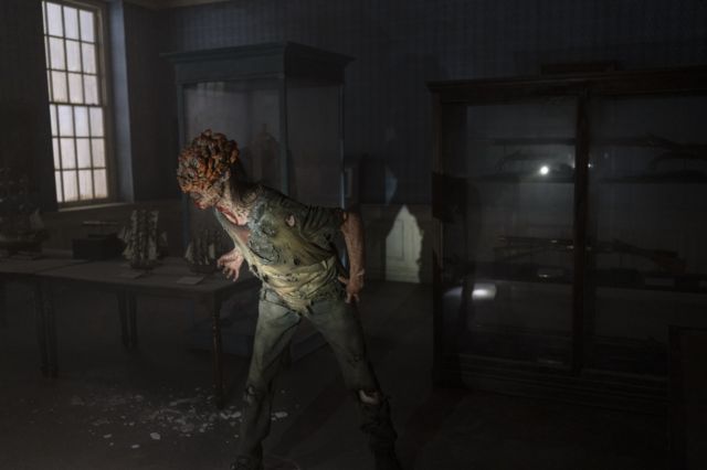 Fungo zumbi da série The Last of Us existe e pode ser encontrado