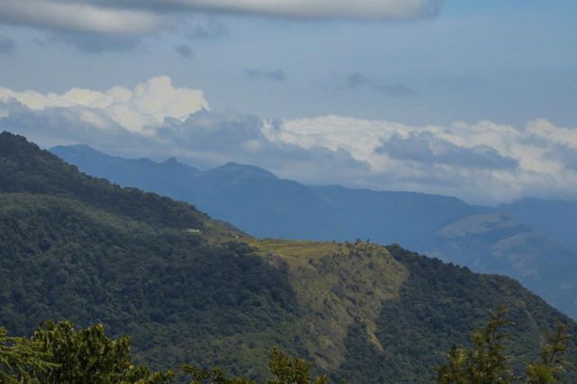 மாஞ்சோலை - குதிரைவெட்டி