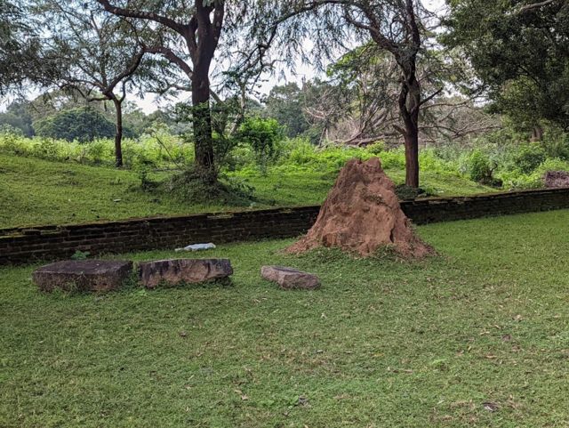 சோழர் ஆட்சியில் இலங்கை