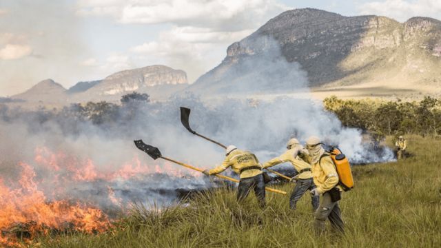 Brigadistas controlam chamas no Cerrado