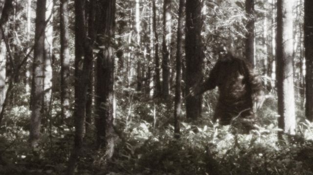 Bigfoot Apakah Makhluk Ini Benar benar Ada BBC News Indonesia