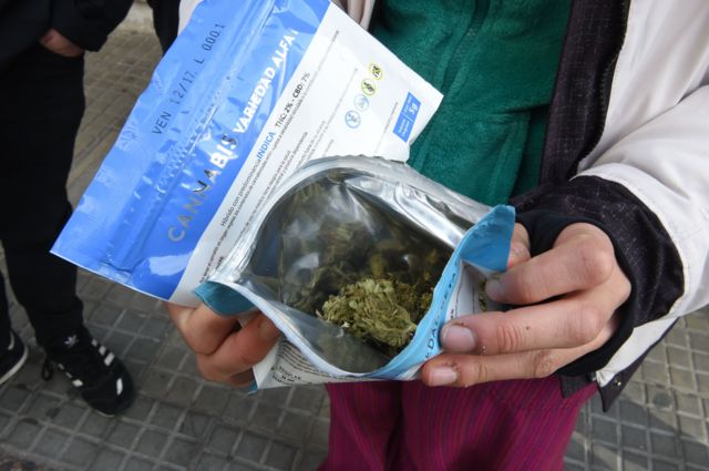 Una persona muestra dos sobres de marihuana comprados en una farmacia de Montevideo.