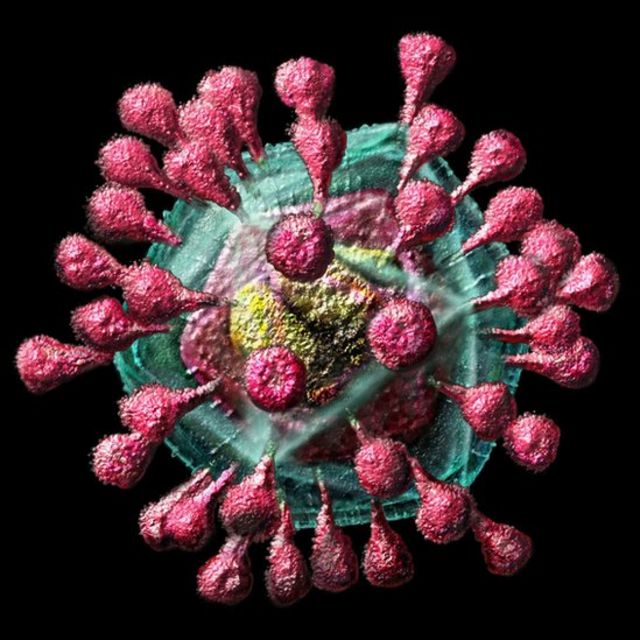 Coronavirus Covid 19 La Enfermedad Del Nuevo Virus Surgido En China