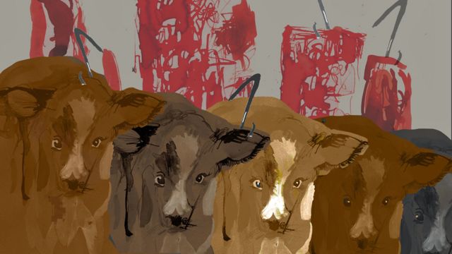 Confessions of a slaughterhouse worker - BBC News