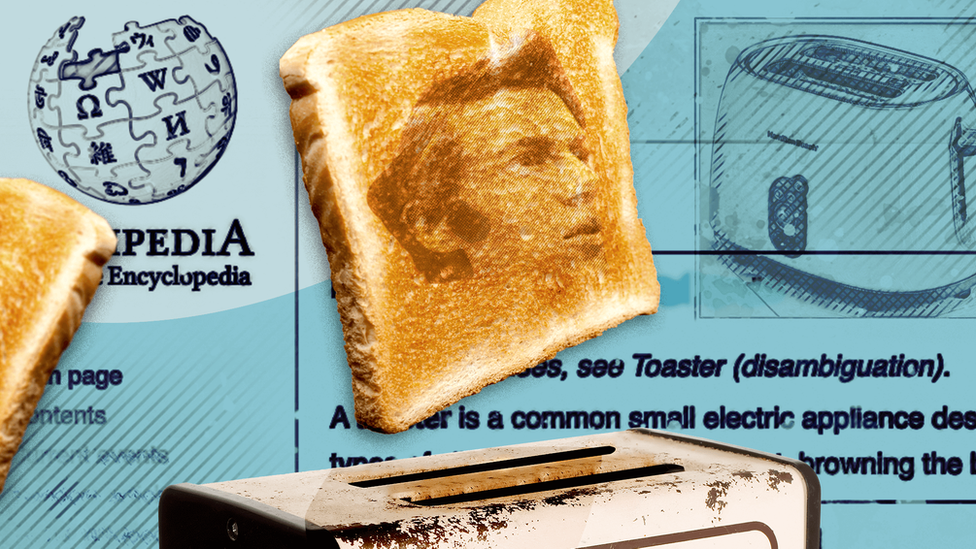 Alan MacMasters: How the great online toaster hoax was exposed