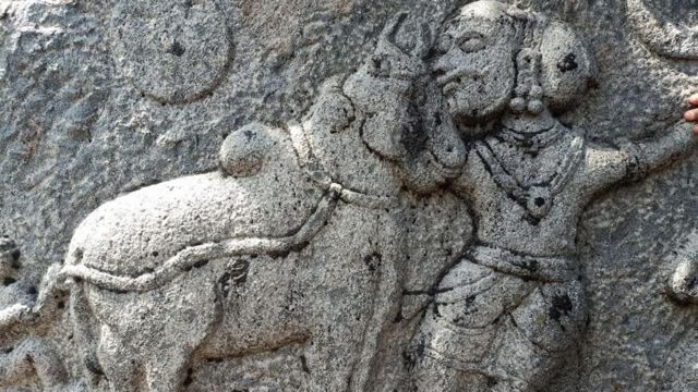 ஏறு தழுவுதலின் வரலாறு