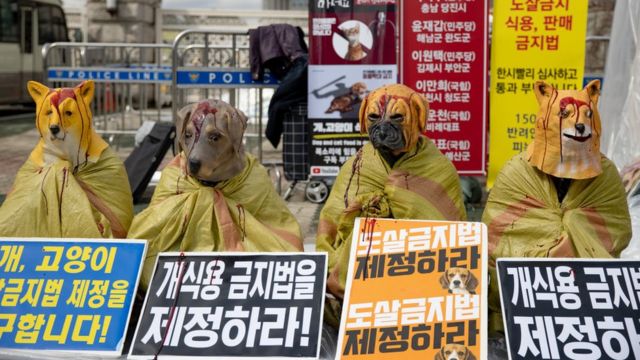 فعالان حقوق حیوانات در کره جنوبی سال‌هاست که خواهان ممنوعیت تولید گوشت سگ هستند