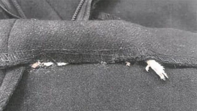 Dead mouse sewn into the lining of a new dress.