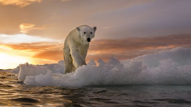 ஜோ பைடன் : காலநிலை மாற்றத்தை எதிர்கொள்ள என்ன திட்டம் இருக்கிறது?