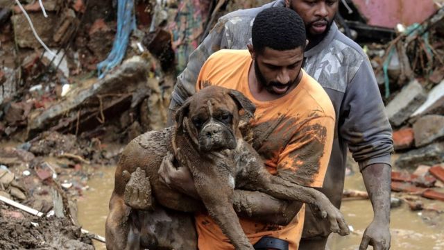 Homem resgata cachorro em meio à lama em Petrópolis
