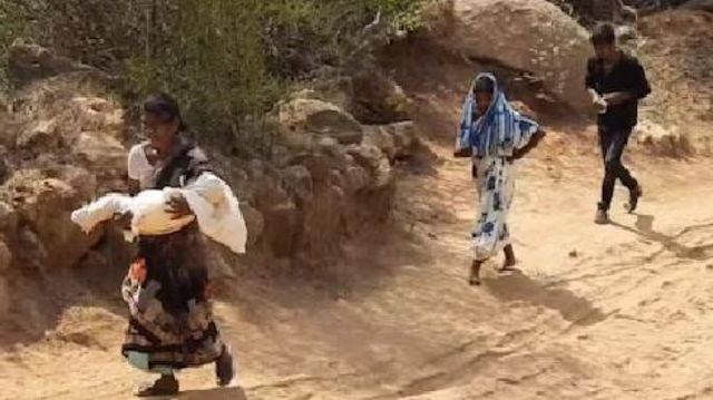 தமிழ்நாடு, பழங்குடிகள்