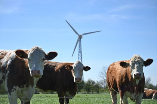 Molino de energía eólica 