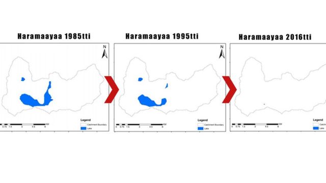 Haramaayaa baroota 1980 hanga 2016tti
