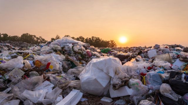 Mudança climática pode prejudicar a fertilidade masculina