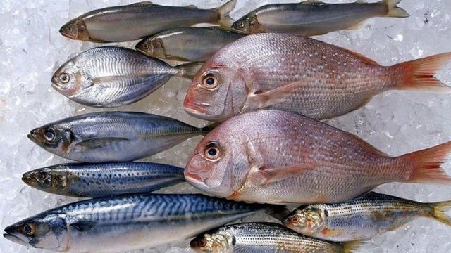 多吃油性鱼对糖尿病患者有利。(photo:BBC)