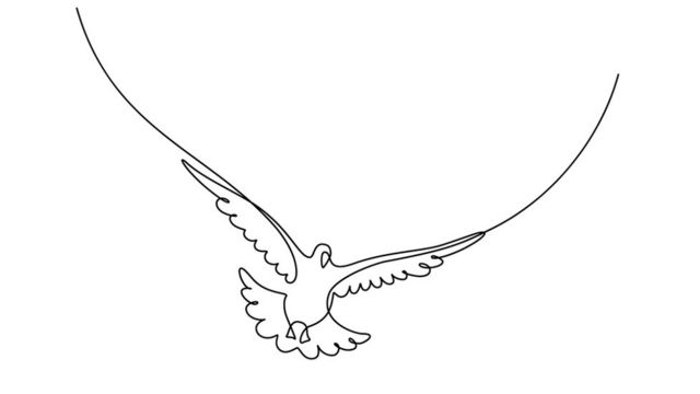 Desenho de pomba