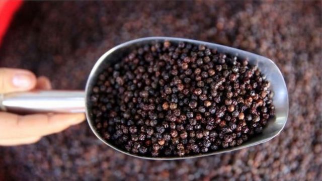 முசிறி துறைமுகம், கேரளா