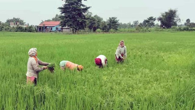 कित्ताकाट र अंशबन्डाको जटिलता फुक्काः घरजग्गा कारोबार के होला