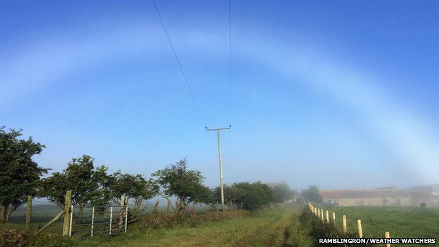 Fogbow over a field