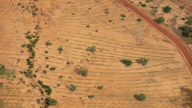 An illustration photo shows desertification in Ouahigouya, Burkina Faso.