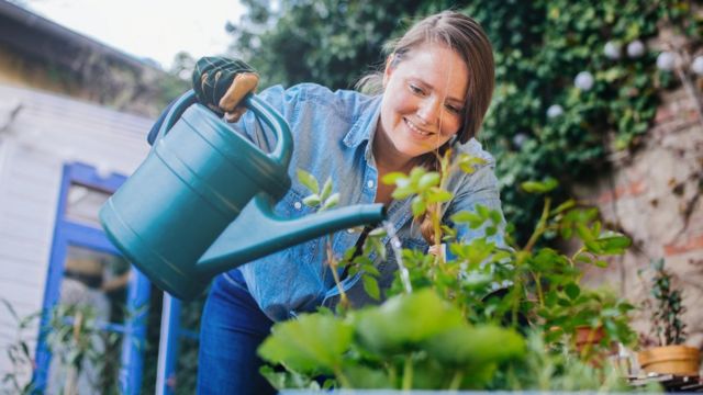 Una mujer regando las plantas