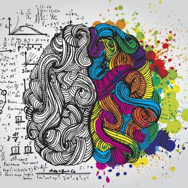 Ilustração dos dois hemisférios do cérebro