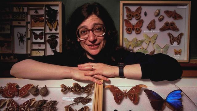 May Berenbaum