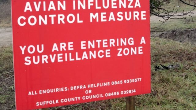 2007年禽流感时英国乡村的警告牌