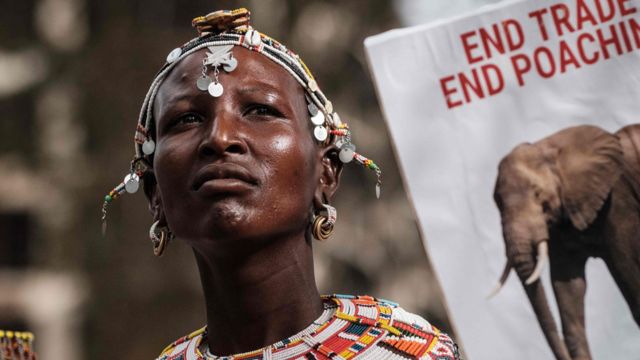 Wata mace 'yar kabilar Samburu rike da allo a wani tattaki na duniya da ake yi wa Giwaye da dorinar ruwa da zakuna da sauran dabbobin dawa da rayuwarsu ke cikin hatsari a ranar Asabar a birnin Nairobi da ke Kenya.
